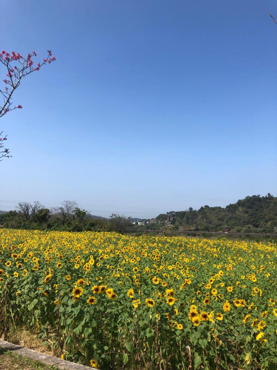 南庄漫晨旅店nanzhuang Manchen B&B Exterior photo